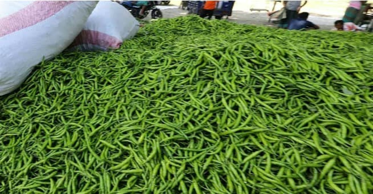 বেনাপোলে বৃষ্টি ও আমদানি বন্ধ থাকায় কাঁচা মরিচের কেজি ৪০০ টাকা