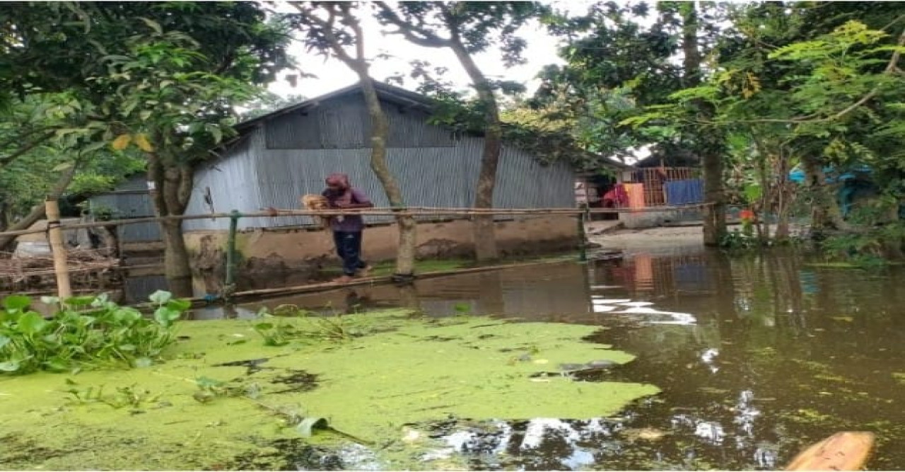 যশোরের শার্শায় বন্যার অবনতি ভারতের পানিতে