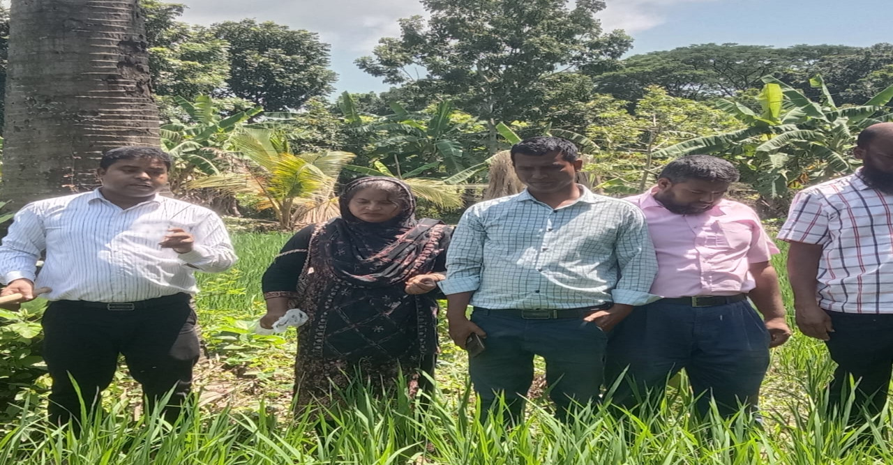 সালথা উপজেলা কৃষি সম্প্রসারণ অধিদপ্তরের পরিদর্শন করেন উপজেলা কৃষি কর্মকর্তা সুদর্শন শিকদার