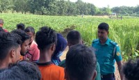 পবায় ধানখেত থেকে নারীর মরদেহ উদ্ধার, ধর্ষণের পর হত্যার সন্দেহ