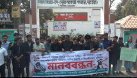 সারাদেশে ধর্ষণের প্রতিবাদে নাটোরে ছাত্রদলের মানববন্ধন অনুষ্ঠিত