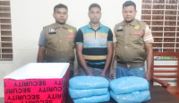 রাজশাহীতে ডিবি পুলিশের অভিযানে ৫ কেজি গাঁজা উদ্ধার, গ্রেপ্তার ১