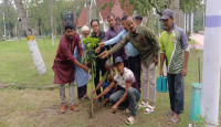 রাজশাহী বোটানিক্যাল গার্ডেন ও চিড়িয়াখানায় বৃক্ষ রোপণ