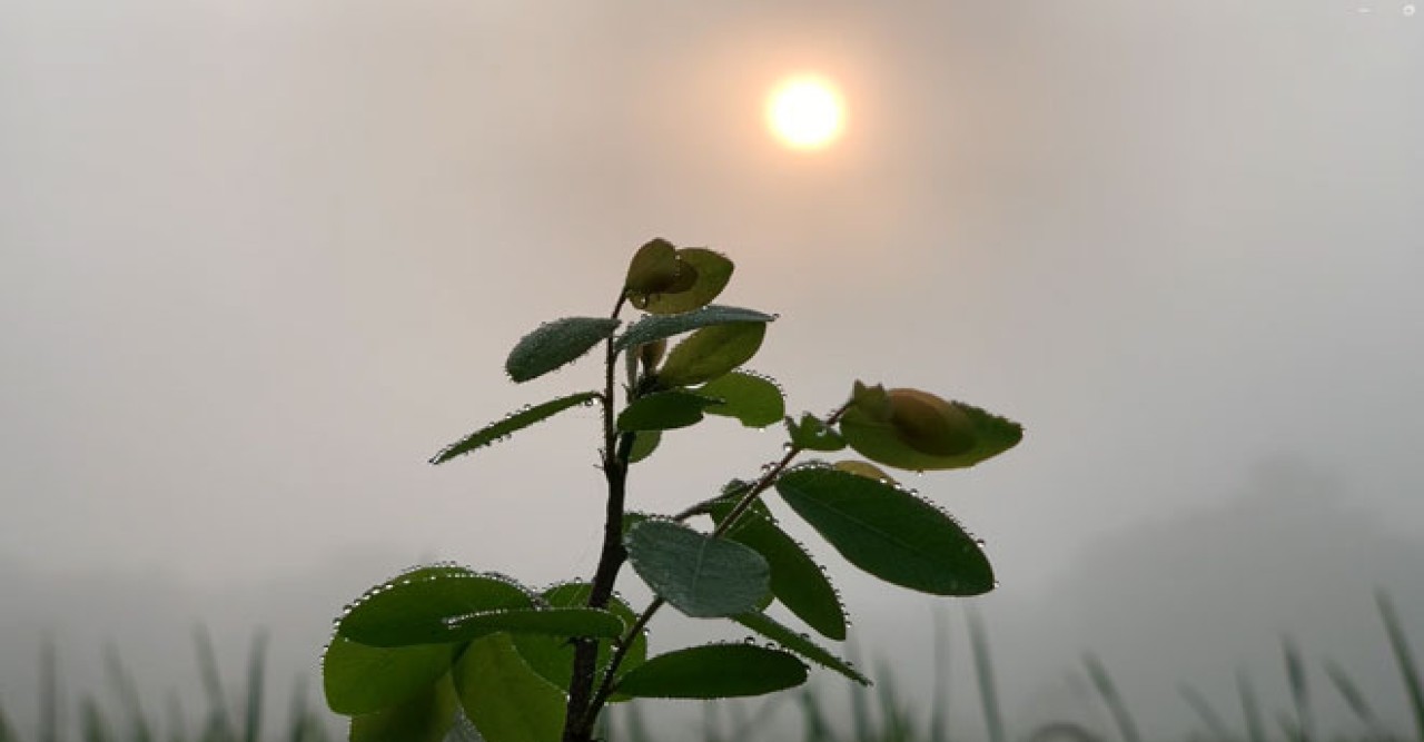রাজশাহীতে শীতের আগমনী বার্তা
