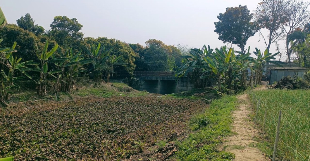 ১. চারঘাটের ২৭ কি.মি. খালের মৃত্যুঘণ্টা: সংকটে পরিবেশ ও জনপদ