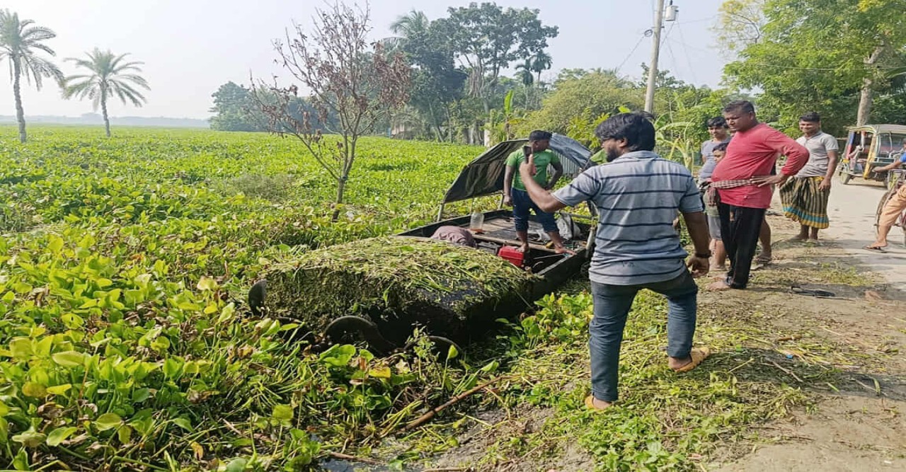শার্শার ঠেঙামারী বিল : কচুরিপানায় ডুবে আছে হাজার হাজার বিঘা চাষের জমি