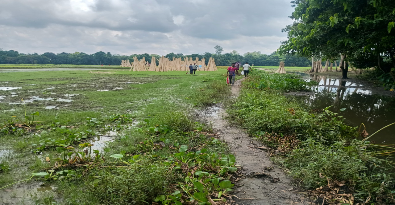স্বাধীনতার ৫০ বছরেও উন্নয়নের ছোঁয়া নেই চর দশশিকা গ্রামে