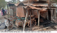 রাণীনগরে শত্রুতার আগুনে চার গরু দগ্ধ