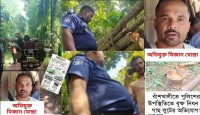 পুলিশের উপস্থিতিতে গাছ কেটে লুটপাটের অভিযোগ, বাঁশখালীতে তোলপাড়