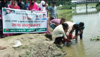 বিএনপির প্রতিষ্ঠা বার্ষিকী উপলক্ষ্যে ছাত্রদলের মৎস অবমুক্তকরণ