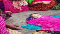 মেহেরপুর হিজুলী গ্রামে গলাই সাবু আটকে শিশুর মৃত্যু