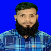 মো : আলামিন ইসলাম 