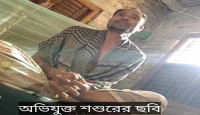 পুঠিয়ায় পুত্রবধূকে ধর্ষণ চেষ্টার সালিশে ৪ কাঠা জমি ও সমাজকে ২০ হাজারে ফায়সালা