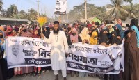 নোয়াখালীতে ধানের শীষের পক্ষে নির্বাচনী পথযাত্রা